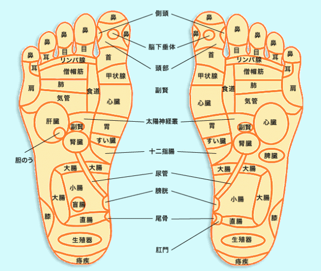 ツボ 足の裏 痛み